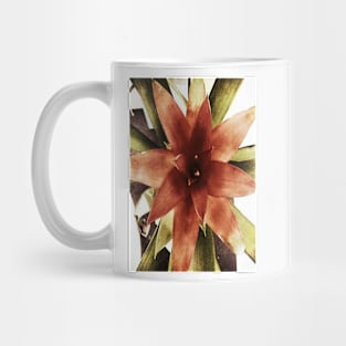 Star Plant Mug